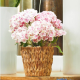 Straw Basket M